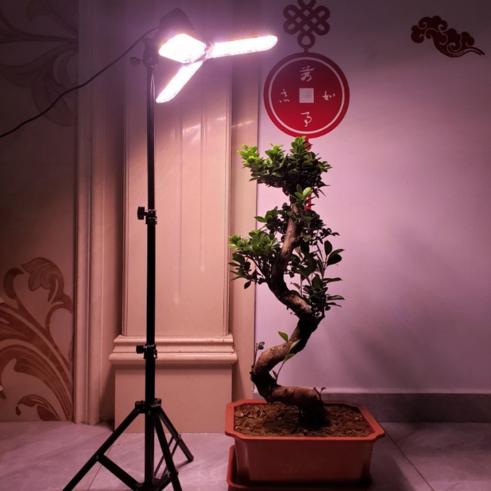 Stojak na żarówki 2M, gniazdo  – Photography Lighting For Studio recenzja i cena